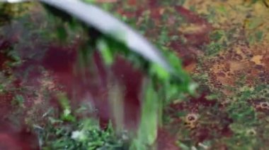 Kırmızı pancar çorbası içine yeşil dereotu dök, makro. Gelenek