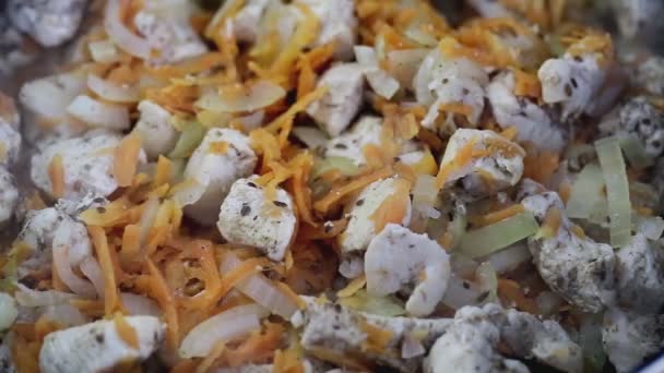 Guiso de pollo con zanahorias y cebollas, gulash. Delicioso plato de carne, fondo — Vídeo de stock