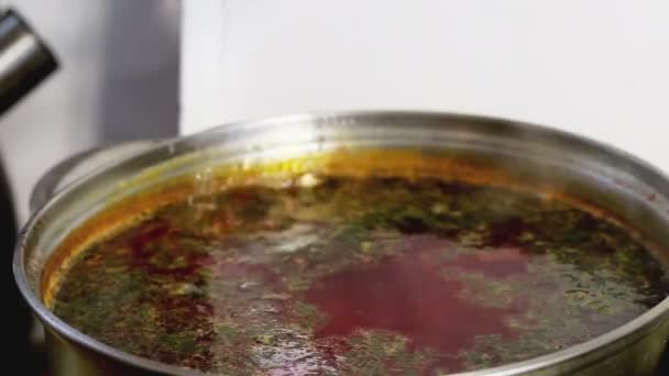 Rote-Bete-Borschtsch mit Dill, Fleisch und Kräutern kochen. Leckeres Essen aus nächster Nähe — Stockvideo