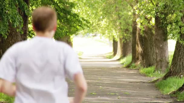 Bir arkadaşın iki beyaz genci boş boş koşup konuşuyorlar. Parkta yaz koşusu, sağlıklı yaşam tarzı. — Stok video