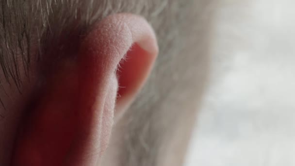 Primer plano del oído humano. Concepto de oyente, chismes y rumores, macro. — Vídeos de Stock
