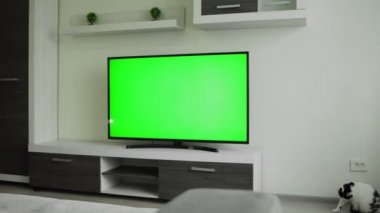 Yeşil ekran kromatonlu LCD TV boş, modern bir apartman dairesinde. Evcil kedi oturma odasında esneyip mobilyalara sürtünüyor, kimse yok. Canlı yayın. Spor müsabakası. Film.