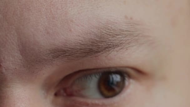 Una ceja de hombre con un ojo marrón. Expresión facial, macro. — Vídeo de stock