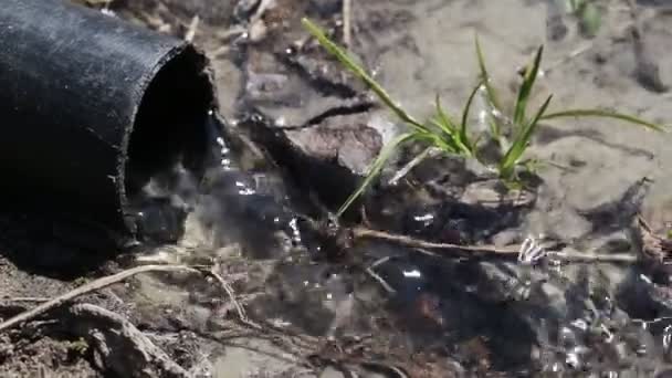 Wasser ergießt sich aus einem Kunststoffrohr aus nächster Nähe auf den Boden. Konzept zur Abwasserverschmutzung — Stockvideo
