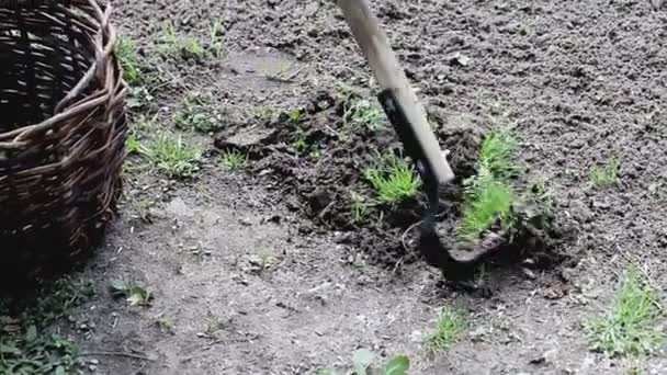 农具Fokina平刀，用于除草床，特写 — 图库视频影像