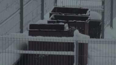 Kışın, kar ve arka planda çöp tenekeleri. Metin için alanı kopyala