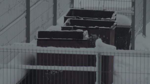 Latas de lixo para resíduos de lixo no inverno durante a neve, fundo. Espaço de cópia para texto — Vídeo de Stock