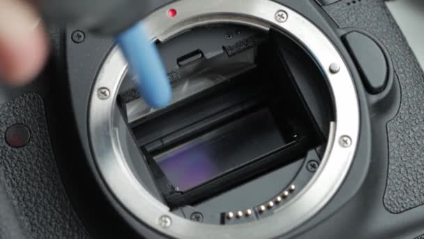 Limpieza de la matriz de una cámara moderna de polvo y suciedad utilizando equipos especiales. Mantenimiento de equipos electrónicos, macro — Vídeo de stock