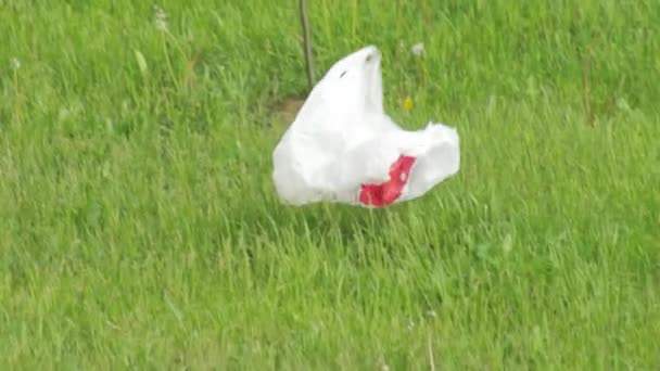 Il vento soffia un sacchetto di plastica vuoto sopra l'erba nel parco. Il concetto di problema e smaltimento dei rifiuti della natura, smaltimento dei rifiuti. Primo piano — Video Stock