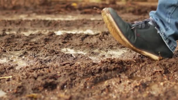 Herfst. Een man in schoenen en jeans loopt door de modder. Slush na regen in de herfst. Slechte weersomstandigheden en de weg. Langzame beweging. Een close-up. Einde van de zomer concept. September, oktober. Lage hoek — Stockvideo