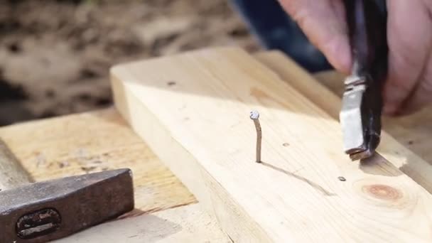 Мужчина забивает изогнутый гвоздь в деревянные доски молотком и плоскогубцами крупным планом — стоковое видео