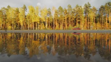 Fall. Reflection in a puddle. Cars, vehicles go on highway road along autumn forest. Wet asphalt. Transportation. Import, export of goods. Travel, trip. Orange golden foliage on trees. Sunny weather