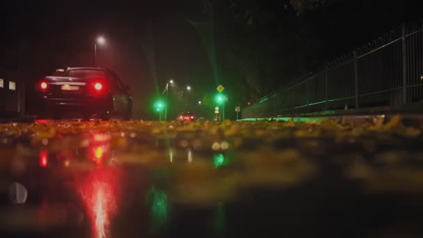 Vallen. Auto 's rijden' s nachts in de herfst over natte wegen. Gevallen bladeren liggen op de weg langs het hek. Kruispunt met werkend verkeerslicht. Slechte en gevaarlijke weersomstandigheden. Laaghoekschot — Stockvideo
