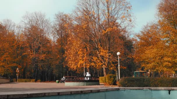 Jesienią. Drzewa ze złotymi liśćmi w parku miejskim jesienią. Koncepcja na koniec lata. Piękna natura. Slider Truck strzał. Niski kąt — Wideo stockowe
