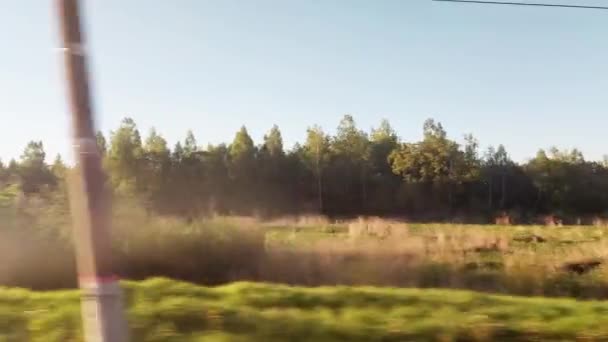 Beautiful landscape from the train window on the green forest and summer sunny nature, in the background. Copy space for text — Stock Video