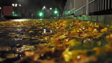 Fall. Fallen maple leaves are lying on road along fence during rain at autumn night. Crossroad with working traffic light. Bad and dangerous weather conditions. Low angle shot