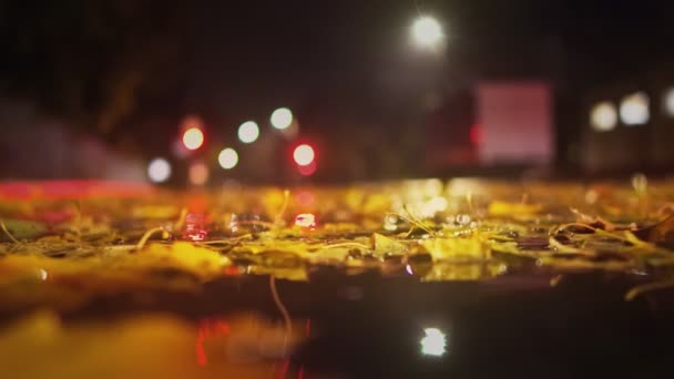 Fall. Cars drive on wet road during rain at night in autumn. Leaves fall into a puddle. Crossroad with working traffic light. Bad and dangerous weather conditions. Low angle shot — Video Stock