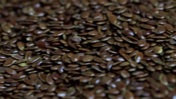 Flax seeds on white background, close-up. Agriculture, copy space for text, macro — Stock Video