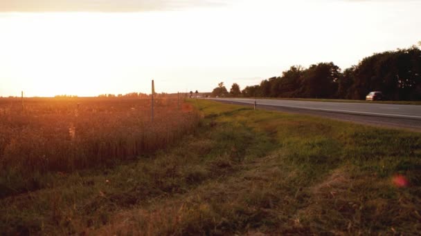 De beweging van een colonne auto 's op een landweg in de avond tegen de achtergrond van een prachtige zonsondergang. Auto 's en vrachtwagens. Kopieer ruimte voor tekst, time-lapse — Stockvideo