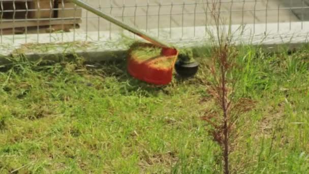 Mężczyzna ogrodnik kosi trawę latem w ogrodzie warzywnym, zbliżenie. Sprzęt — Wideo stockowe