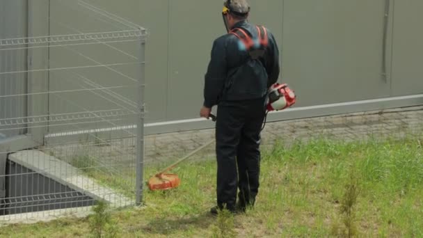 Un uomo falcia l'erba in estate sul campo con un trimmer a benzina, sfondo, primo piano — Video Stock