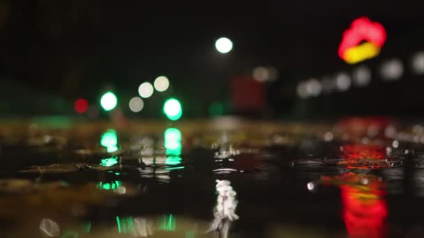 Sonbahar. Sonbaharda yağmurlu bir gecede araba ıslak yolda gider. Yapraklar su birikintisinde yatıyor. Trafik ışıklarıyla kesişen yol. Kötü ve tehlikeli hava koşulları. Düşük açılı çekim — Stok video