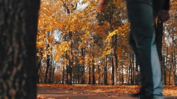 가을. 재킷을 입은 남자가 가을 공원의 골목을 따라 걷고 있습니다. 바람이 마른 황금빛 오렌지 잎을 불어 떨어뜨린다. 여름 개념의 끝. 아름다운 자연. 슬라이더 트럭 샷. 저 각 — 비디오