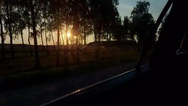 View from the car window to the beautiful summer nature. Fields with forests on the background of the rays of the sunset. Copy space for text. Beautiful forest — Stock Video