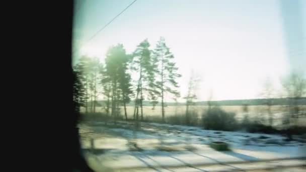 Zicht vanuit het treinraam, felle zon en sneeuw. Prachtig bos en ontdooide sneeuw, achtergrond, winter — Stockvideo