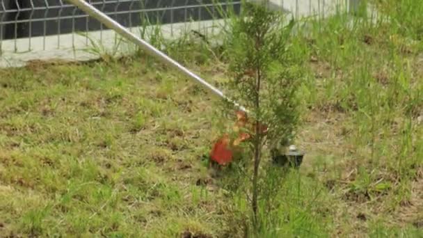 A man mows the grass in the summer on the field with a gasoline trimmer, background, close-up — Stock Video