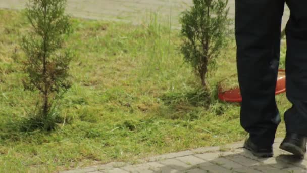 Cortando hierba en la zona con una cortadora de césped de gasolina, primer plano — Vídeos de Stock
