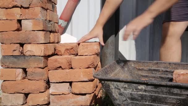 Чоловік збирає червону будівельну цеглу в ручну коляску для перевезення. Будівництво саморобки на дачі, фон. Крупним планом — стокове відео