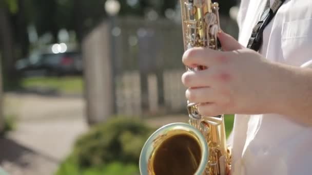 Zenei kíséret a nyári szünetben a természetben. Jazzszaxofonozik, közelről. Lassabban. — Stock videók