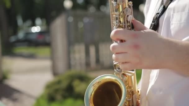 Acompanhamento musical em umas férias no verão na natureza. Homem toca saxofone de jazz, close-up. Devagar. — Vídeo de Stock