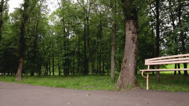 Jeune homme tombe sur un tapis roulant tout en faisant du jogging, mauvaise santé, dyspnée — Video