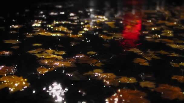 Caída. Las hojas de arce se encuentran en charco en la carretera durante la lluvia en la noche de otoño. Camino mojado. Condiciones meteorológicas malas y peligrosas. Disparo de ángulo bajo — Vídeo de stock