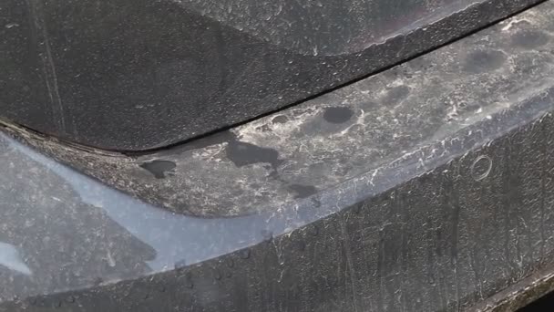 Polvo y suciedad de la carretera en el parachoques de un automóvil gris de pasajeros, primer plano, muelle — Vídeos de Stock