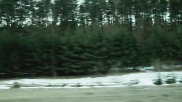 Utsikten från tågfönstret när du kör på den vackra naturen och skogen, i bakgrunden. Det är vår, det är snö, landskap — Stockvideo