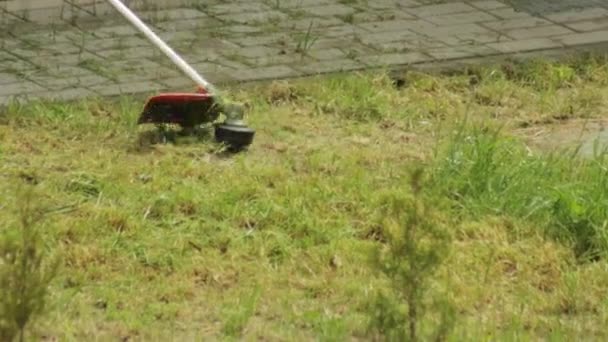 A man mows the grass in the summer on the field with a gasoline trimmer, background, close-up — Stock Video