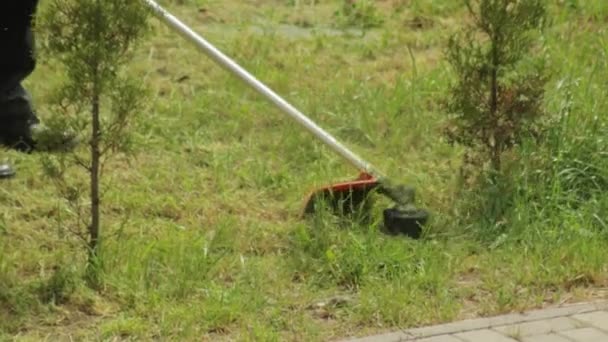 Cortando hierba en la zona con una cortadora de césped de gasolina, primer plano — Vídeo de stock