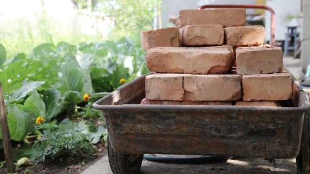 A male worker unloads a red building brick from a hand wheelbarrow for transportation. DIY construction in the country, background. Close-up — Stock Video