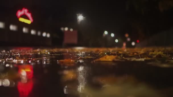 Geceleri sonbahar yağmuru. Araba kırmızı ışıkta durdu ve kavşakta durdu. Düş! Düşen yapraklar yoldaki su birikintisinde yatıyor. Kötü ve tehlikeli hava koşulları. Düşük açılı çekim — Stok video