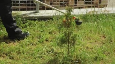 Erkek bahçe işçisi yazın sebze bahçesinde çimleri biçer, yakın plan. Ekipman