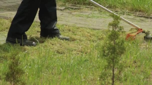 Um homem corta a grama no verão no campo com um aparador de gasolina, fundo, close-up — Vídeo de Stock