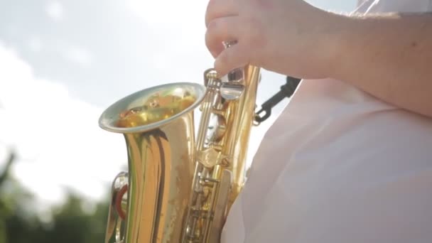 Zenei kíséret a nyári szünetben a természetben. Jazzszaxofonozik, közelről. Lassabban. — Stock videók