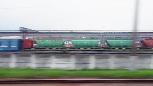 Vue depuis la fenêtre du train de marchandises et du chemin de fer sur fond de forêt et de nature. Paysage — Video