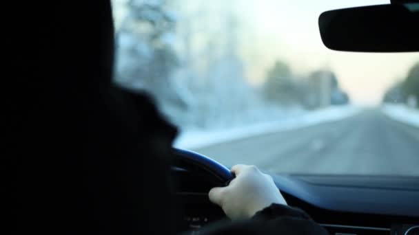 Mans kezét fogja a kormány egy személygépkocsi, utazás télen. Havas erdő, háttér. A szöveg másolási helye — Stock videók