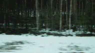 Arka plandaki güzel doğa ve ormanın üzerinde giderken tren penceresinin manzarası. Bahar geldi, kar var, manzara var.