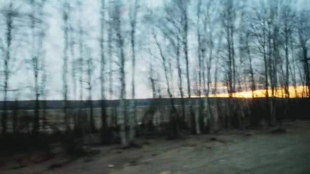 Prachtige oranje zonsondergang tijdens het rijden op de trein, uitzicht vanuit het raam. Natuur en bossen, achtergrond. Voorjaar — Stockvideo