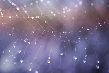 Waterdrops net
